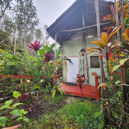 Cabin 2-Rustic Private Stay Near Volcano National Park Fern Forest Exteriér fotografie