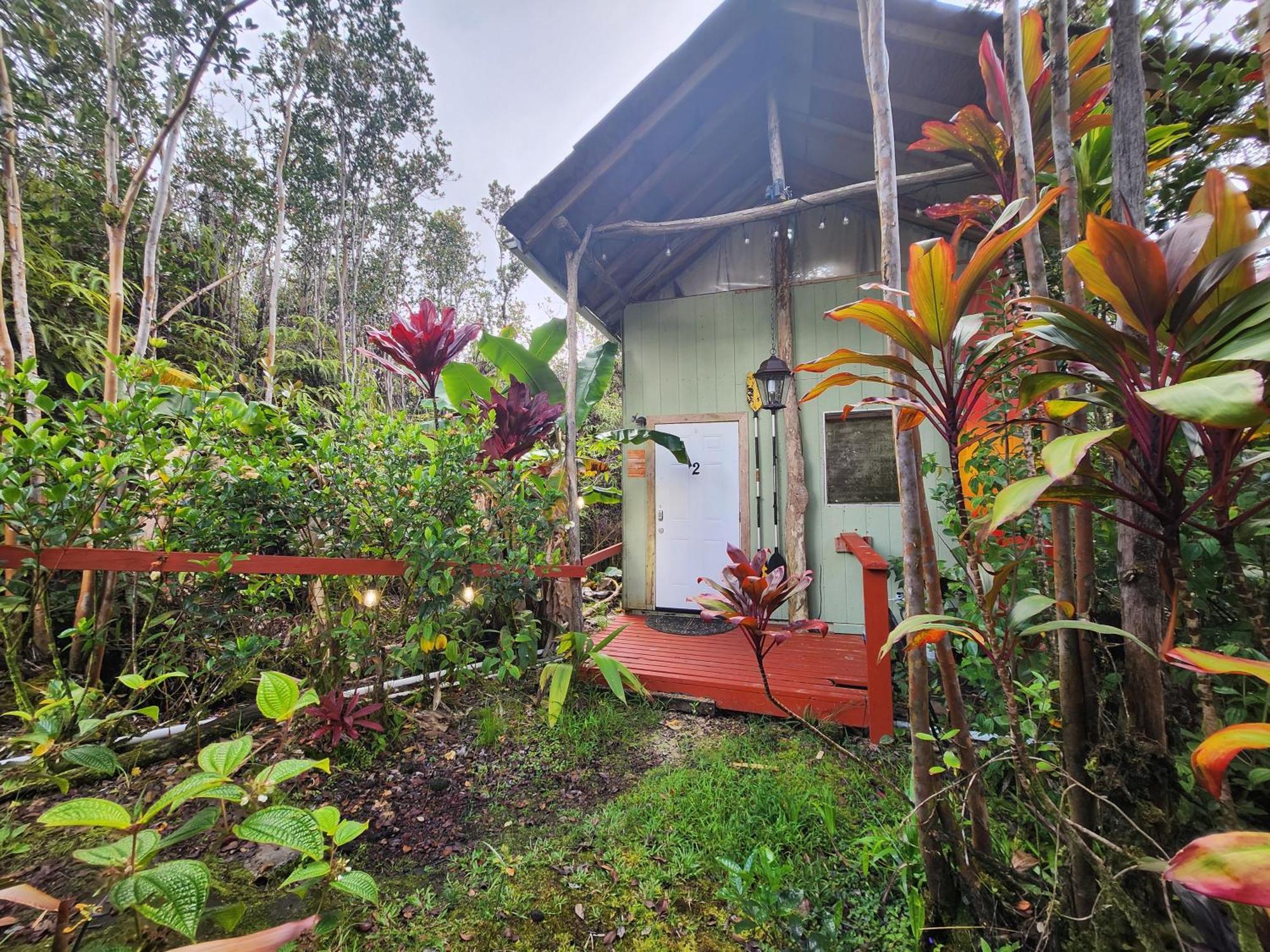 Cabin 2-Rustic Private Stay Near Volcano National Park Fern Forest Exteriér fotografie